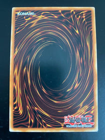 Yugioh Grand Horn of Heaven SR04-EN037 Common 1st Edition MP