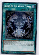 Yugioh Tales of the White Forest MP25-EN092 Secret Rare 1st Edition NM