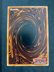 Yugioh Glory of the Noble Knights EXFO-EN059 Rare 1st Edition VLP/NM