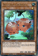 Yugioh Naturia Cherries HAC1-EN116 Duel Terminal Ultra Rare 1st Edition NM