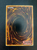 Yugioh Greenkappa TU06-EN014 Common Unlimited Edition MP/LP