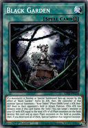 Yugioh Black Garden LDS2-EN116 Common 1st Edition VLP/NM
