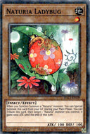 Yugioh Naturia Ladybug HAC1-EN109 Duel Terminal Common 1st Edition NM