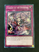 Yugioh Terrors of the Overroot SDCK-EN040 Common 1st Edition NM