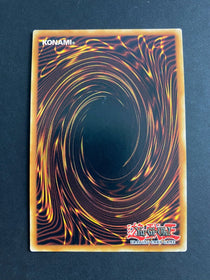 Yugioh Virtual World Gate - Qinglong OP16-EN011 Super Rare Unlimited Edition MP