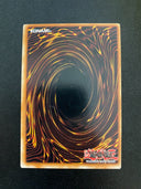 Yugioh Hero's Rule 2 DP06-EN025 Rare 1st Edition LP