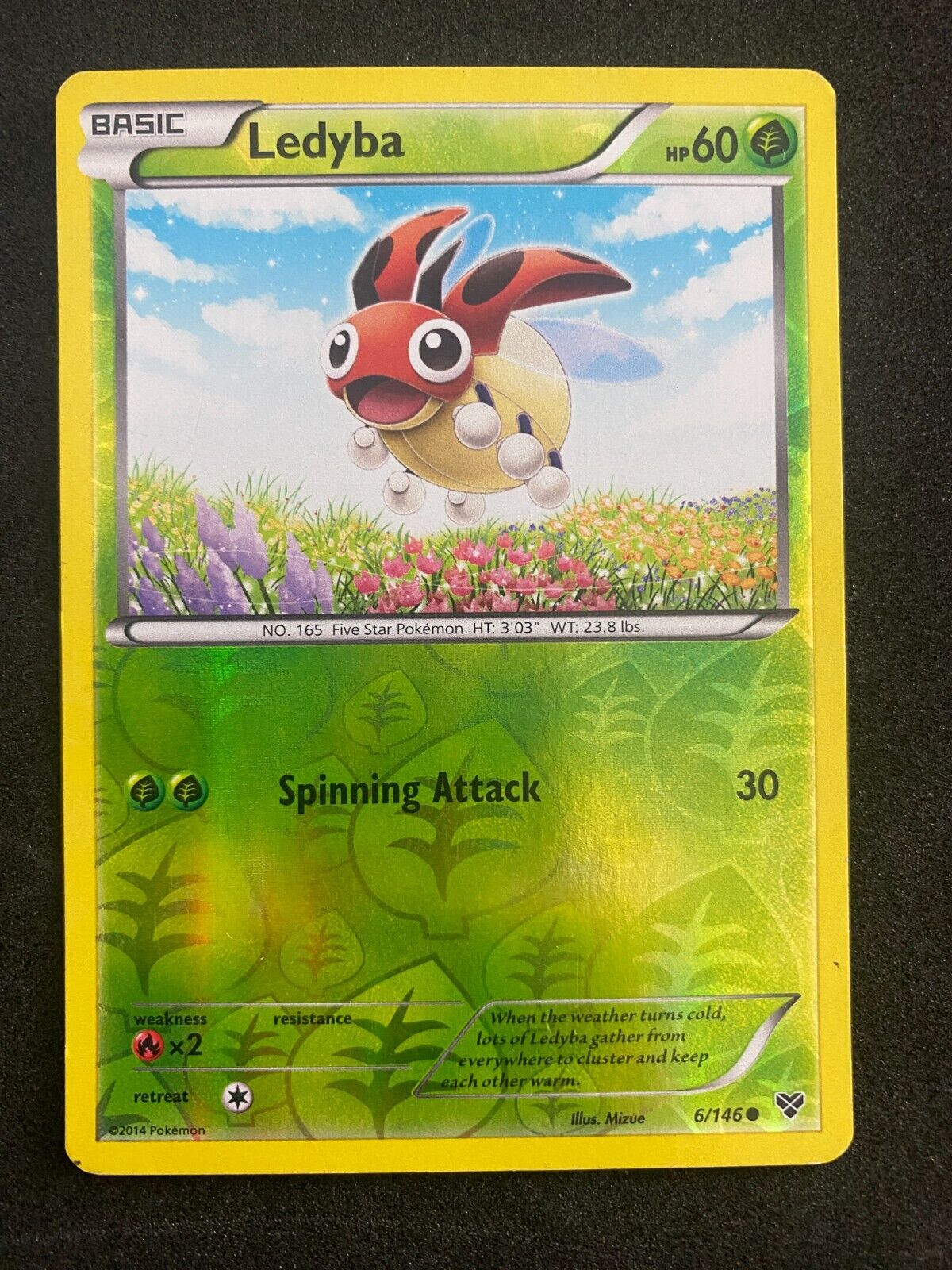 Pokemon Ledyba 6/146 XY Base Reverse Holo MP