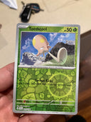 Pokemon Toedscool 024/198 Scarlet Violet Base Reverse Holo NM